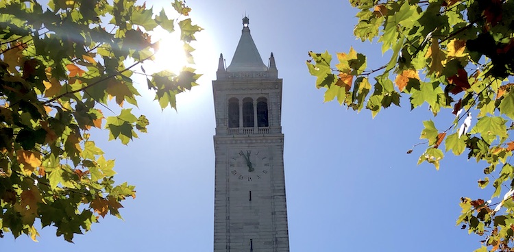 Top of the Campanile framed by tree branches.