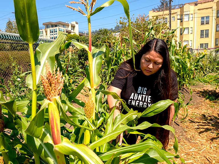 Pictured is Phenocia Bauerle, director of the NASD office and co-sponsor of the Indigenous Learning Garden. UCB Photo by Adam Sings in the Timber.