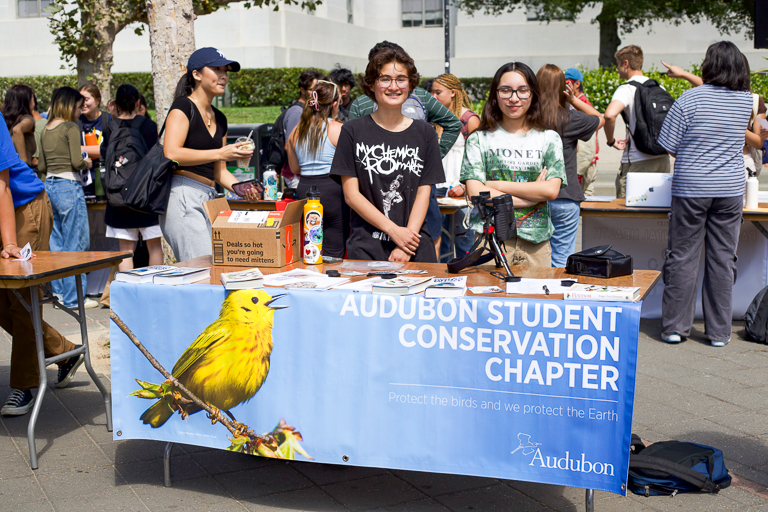 Two club members table on Sproul Plaza to promote their club Bears for Birds, which is a chapter of the National Audubon Society. Their sign features a large yellow bird and there is bird watching equipment like cameras on their table.