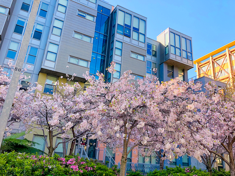 berkeley campus tour