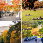 Best Fall Photo Spots @ Cal