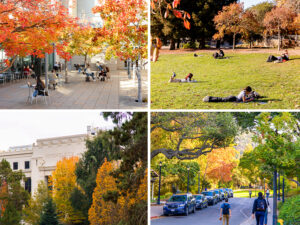 Best Fall Photo Spots @ Cal