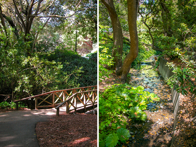 Sunlight strikes the bridge spanning Strawberry Creek on UC Berkeley's campus and makes the creek water sparkle.