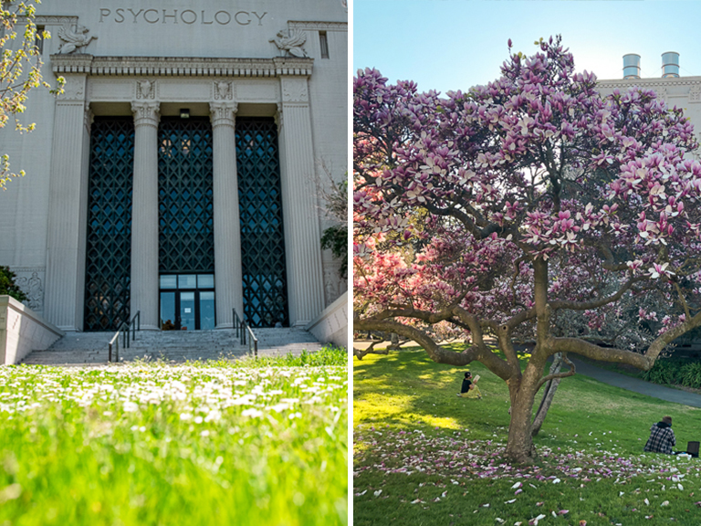 UC Berkeley's Valley Life Sciences Building surrounded bush lush green grass, white flowers, and flowering trees.