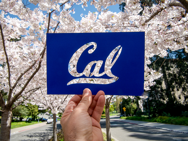 A hand holds up a blue Cal logo in front of blossoming cherry trees on UC Berkeley Campus.